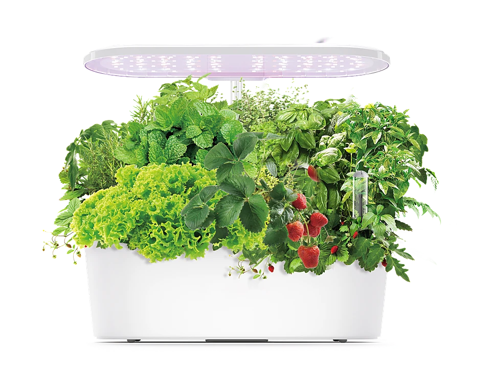 Tabletop hydroponic garden with LED grow light arm