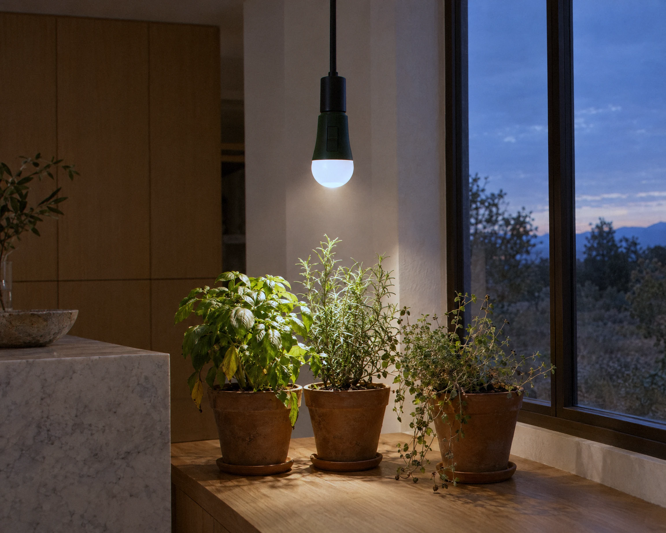 Zone A19 grow light bulb, shown in a typical installation (illustration)