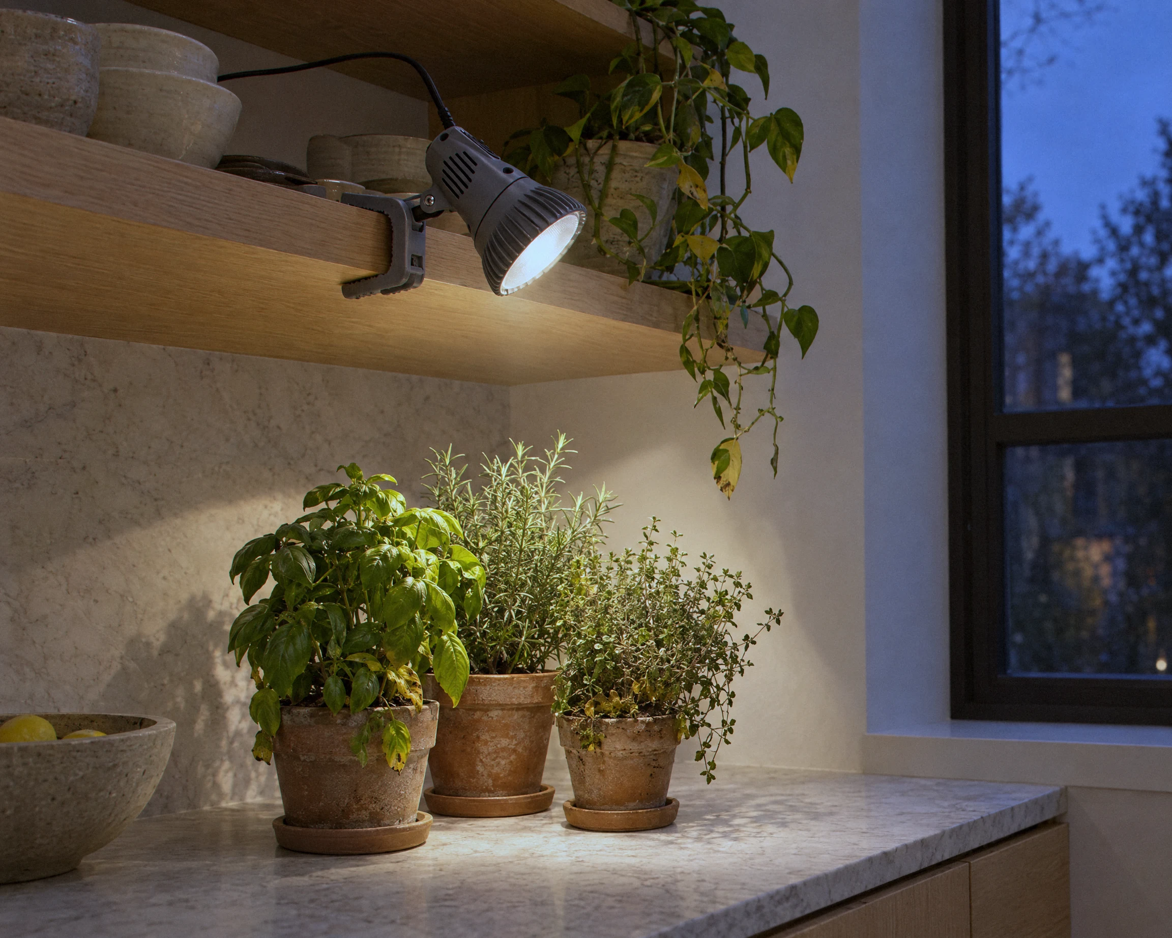 Zone Clamp grow light, shown in a typical installation (illustration)