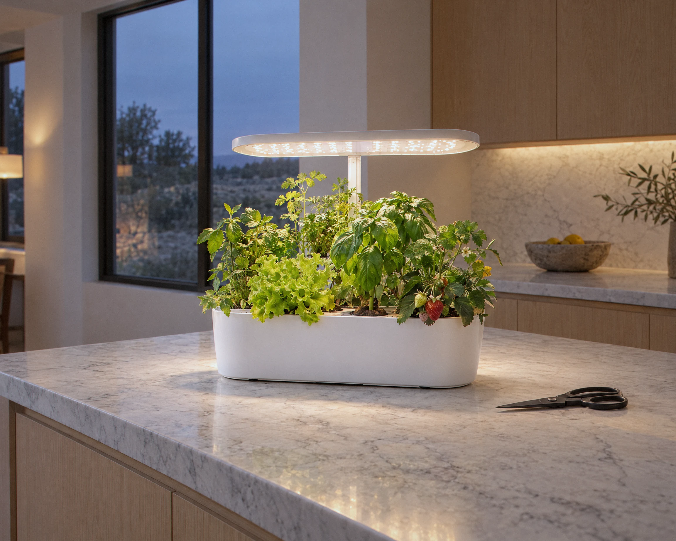 Zone Tabletop mini garden, shown in a typical installation (illustration)