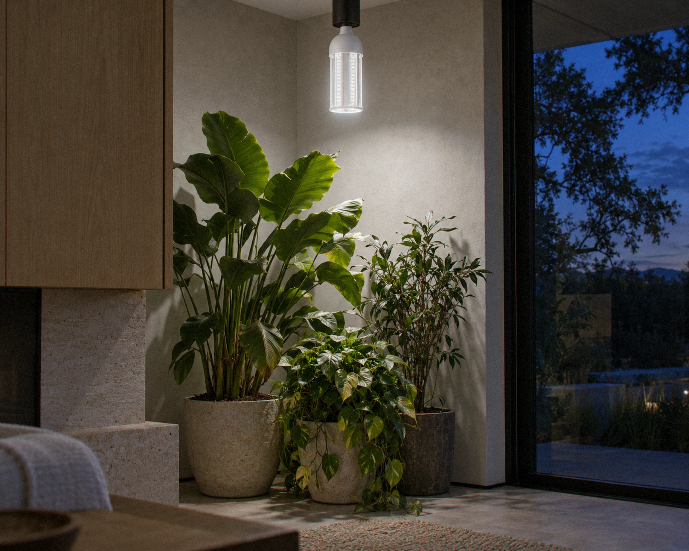 Zone Grow light bulb, shown in a typical installation (illustration)