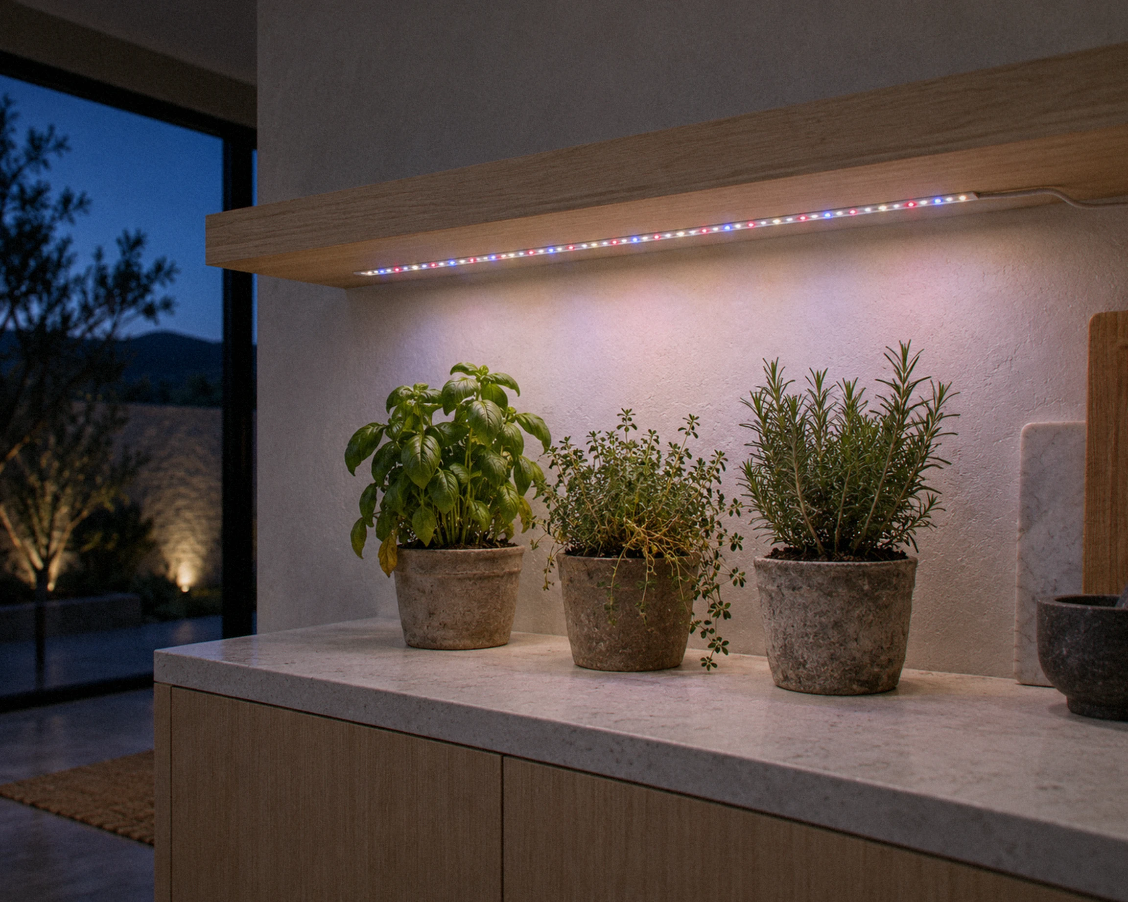 Zone 11.8 ft grow light strip, shown in a typical installation (illustration)