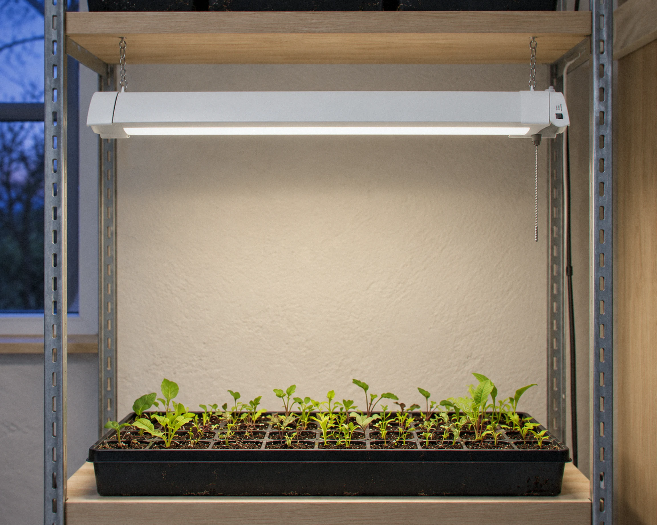 Zone Colour-select grow light, shown in a typical installation (illustration)