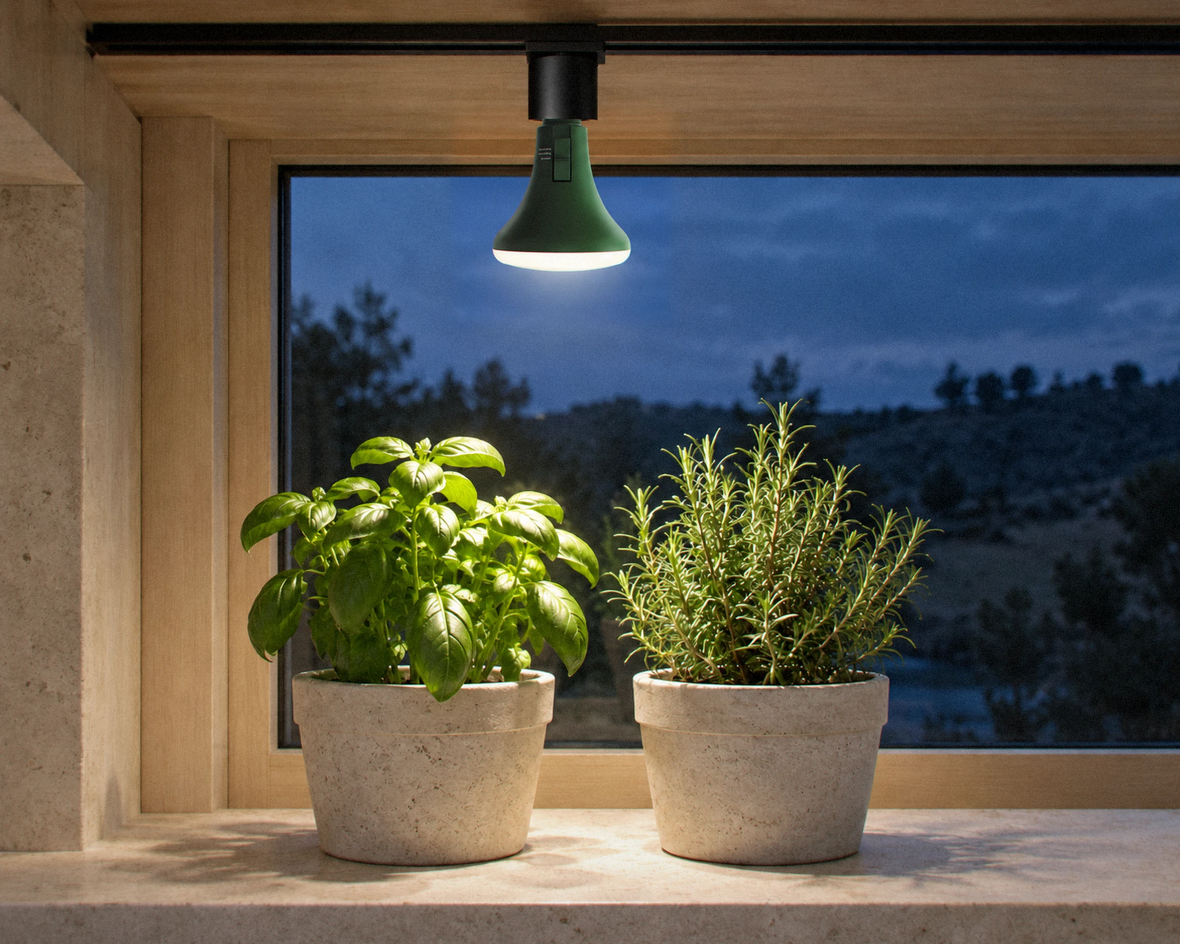 Zone BR30 grow light bulb, shown in a typical installation (illustration)