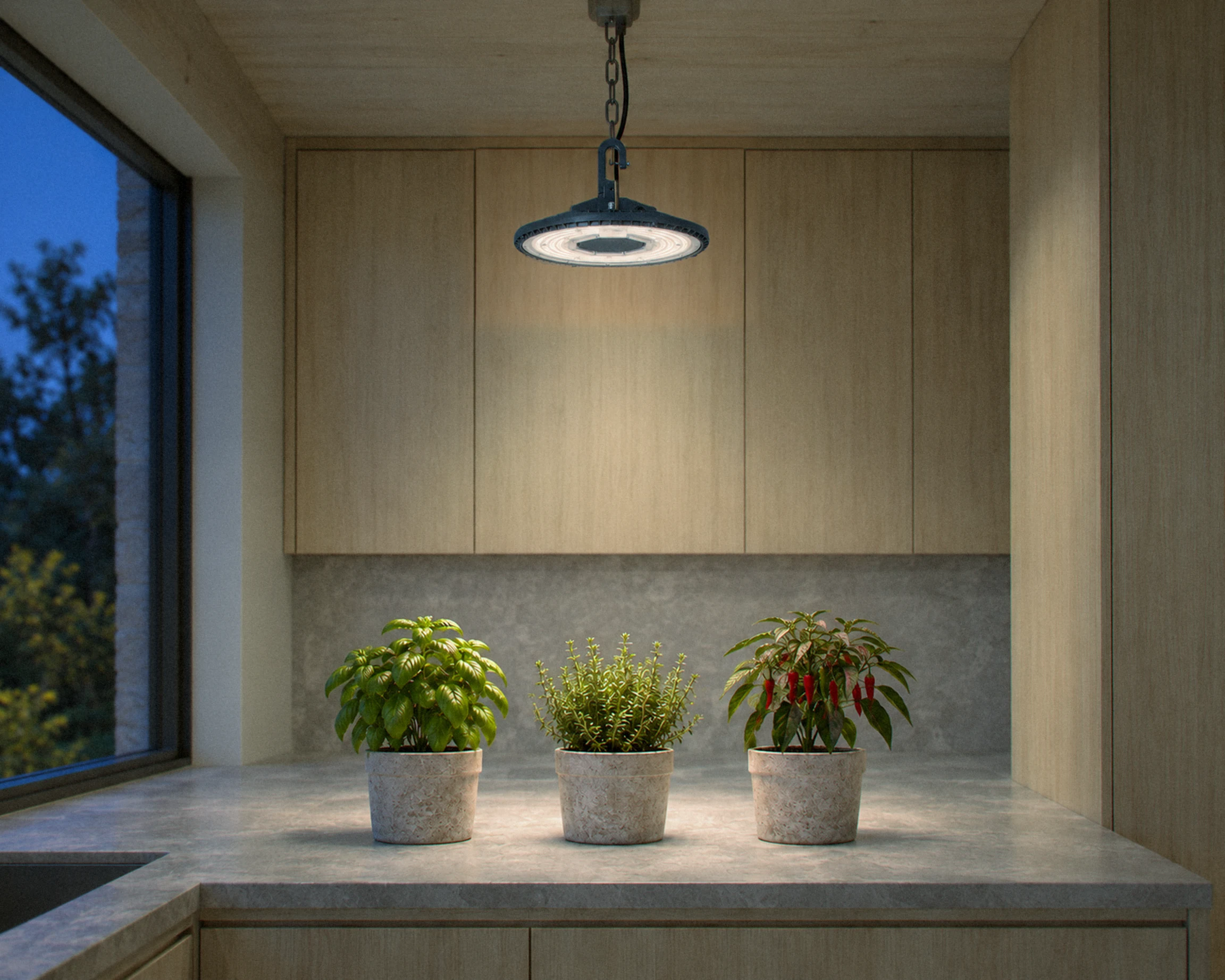 Zone 11-1/2 in. LED grow high bay light, shown in a typical installation (illustration)